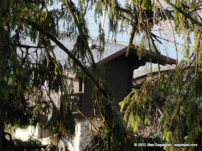 Freddie's mysterious Lake House as seen through the trees branches